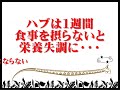 ????????2005 ????????2005