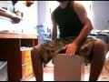 Mi primo Juan....cajon...chambao...