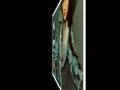  - MovieZen Video
