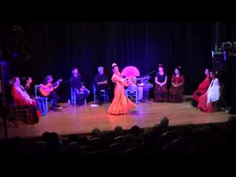 Spectacle de Flamenco La Conciencia