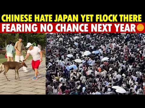 Chinese Hate Japan but Rush to Visit, Fearing No Chance Next Year with Tough Female PM