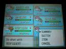 Pokemon Diamond/Pearl: Journey to Pastoria City [1]
