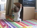 Izzy Kirby and the Box