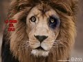 leones del caracas vs magallanes caricaturas