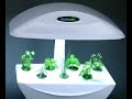 Italian Herbs TimeLapse Grown in the AeroGarden Italian Herbs TimeLapse Grown in the AeroGarden