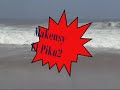 videos Surf