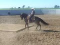 CABALLO BAILADOR CHIVIS BAILANDO EL GITANO