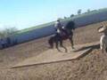 CABALLO BAILADOR CHIVIS BAILANDO EL GITANO