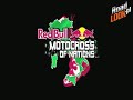 Red Bull Motocross of Nations 2009_ race 2 - wideo z kanaÅ‚u Motoryzacja_HD.avi