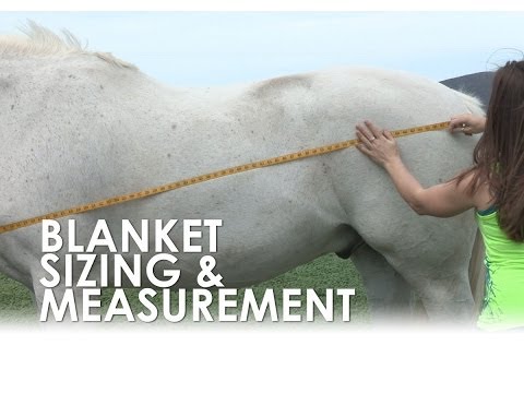 how to measure a horse for a blanket
