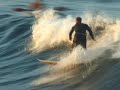 Sydney Surf - Manly