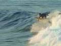 Sydney-Surf-Manly
