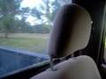 Best Friends..driving.