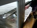 videos de FeedCarl_a_7114.AVI