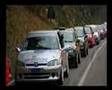 Rally Gallo Cedrone