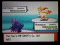 Pokemon Pearl: Elite Four Flint