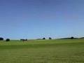 videos de Yak-3U Doppelstern Startbahn Geiler Sound!!