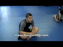 Training in Ronin Athletics 2