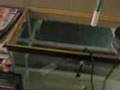 Home-made Egg Incubator