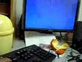 bsod screensaver