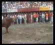Coria (Caceres) San Juan 2007 24 junio toro de la tarde