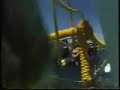 Near miss in shark diving for Louis
