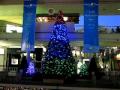 Mele Kalikimaka - Mele Trees of Light @ Ala Moana Center