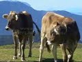 Tour: Plose Gebiet Wanderung Südtirol Tour: Plose Gebiet Wanderung Südtirol