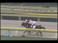 videos de [レースリプレイ] 081115 5東京3 08R