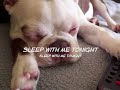 Sleep Sleep