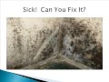 Colorado Cleanup Corporation And Clean Up Services