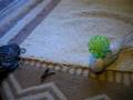 Pocky With a Ball and Twisty Tie
