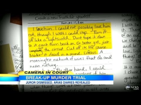 Jodi Arias' Journal Entry Shows Strong Motive To Kill Travis Alexander: 