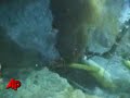 A live video feed that shows the oil gushing from the blown-out well in the Gulf of Mexico is now available online. Congressman Ed Markey of Massachusetts pushed BP to make the video available to the public. (May 20)