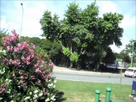 ankara
