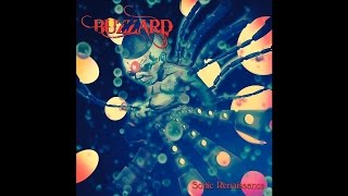 Buzzard - Sonic Renaissance