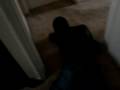 Domnique shakinq his donk