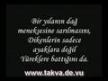 HZ  MUHAMMED  S A V  Siir