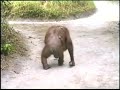 Click here to watch this video Siswi - Clip No. 2