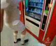 Cassano imitacion Latre