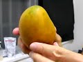 6gcqjatpoq4