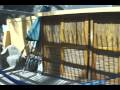 Danza Del Sol House Rental 18645