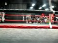 killer bees  fazendo fila em nagoya