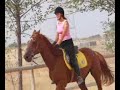 Horse Ridding Horse Ridding