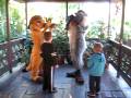 Dawson and Dylan meet Timone and Rafiki.avi