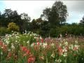 A Gentle Day Out in the Cotswolds 2009