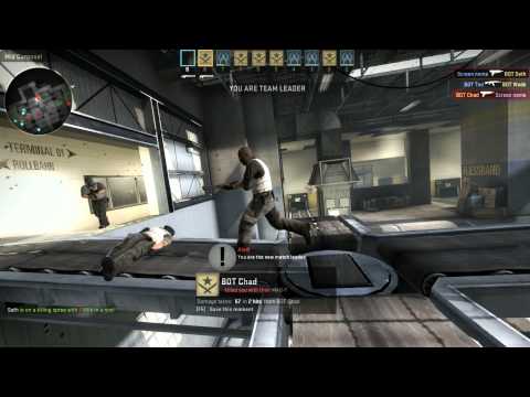 how to control cs go bot
