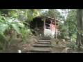 videos de Bungalow guadeloupe