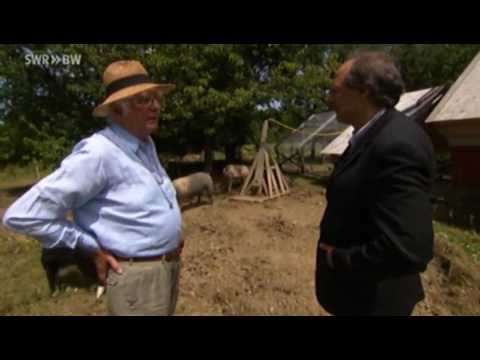 Schweine - Fressen und gefressen werden: Die moderne Landwirtschaft hat diesen Kreislauf durchbrochen. Millionen Schweine werden niemals gegegessen: Sie sterben nur, um...
