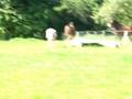 Picou Juin 2006